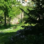 Kniebis 2009 Bild 01