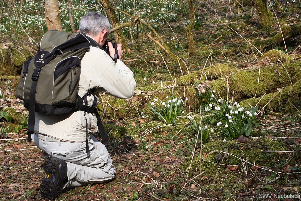 M�rzenbecher-Bild 07