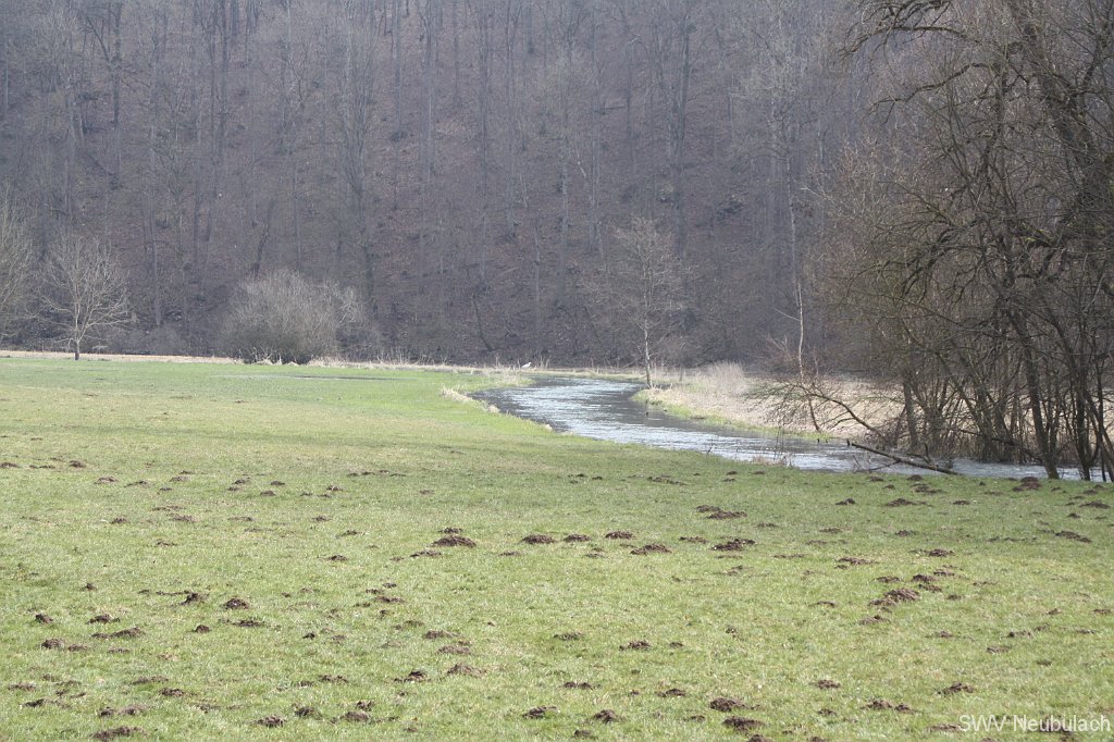 M�rzenbecher-Bild 53