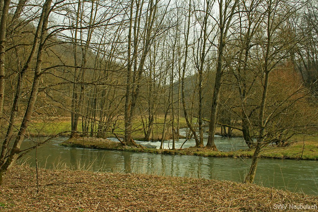 M�rzenbecher-Bild 55