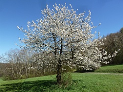 Grenzsaegmuehle Bild 03