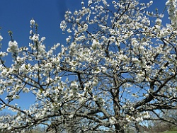 Grenzsaegmuehle Bild 07