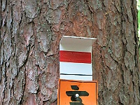 Dahner Felsenpfad 03