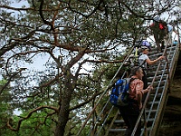 Dahner Felsenpfad 04