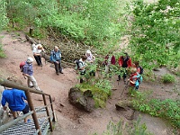 Dahner Felsenpfad 05