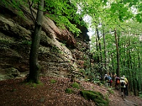 Dahner Felsenpfad 11