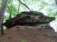 Dahner Felsenpfad 13