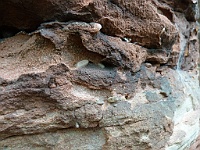 Dahner Felsenpfad 14