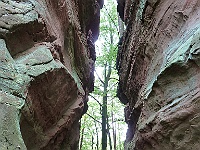 Dahner Felsenpfad 15