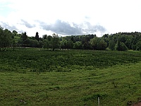 Dahner Felsenpfad 24