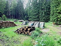 Dahner Felsenpfad 25