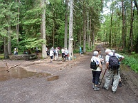 Dahner Felsenpfad 32