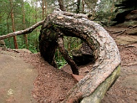 Dahner Felsenpfad 36