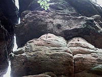 Dahner Felsenpfad 38