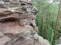 Dahner Felsenpfad 40