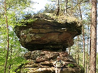 Dahner Felsenpfad 43