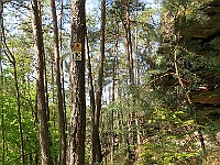 Dahner Felsenpfad 44