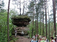 Dahner Felsenpfad 45