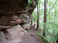 Dahner Felsenpfad 48