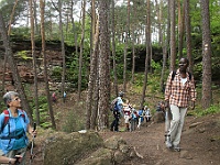 Dahner Felsenpfad 49