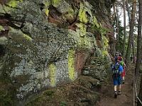 Dahner Felsenpfad 51