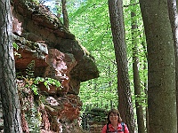 Dahner Felsenpfad 58