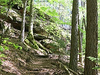 Dahner Felsenpfad 60