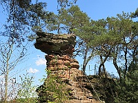 Dahner Felsenpfad 66
