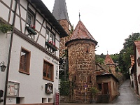 Dahner Felsenpfad 91