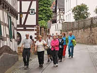 Dahner Felsenpfad 92