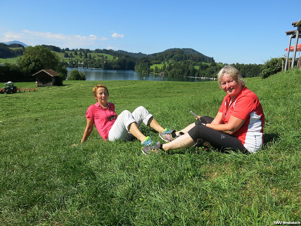 Click here to see the next image in this gallery