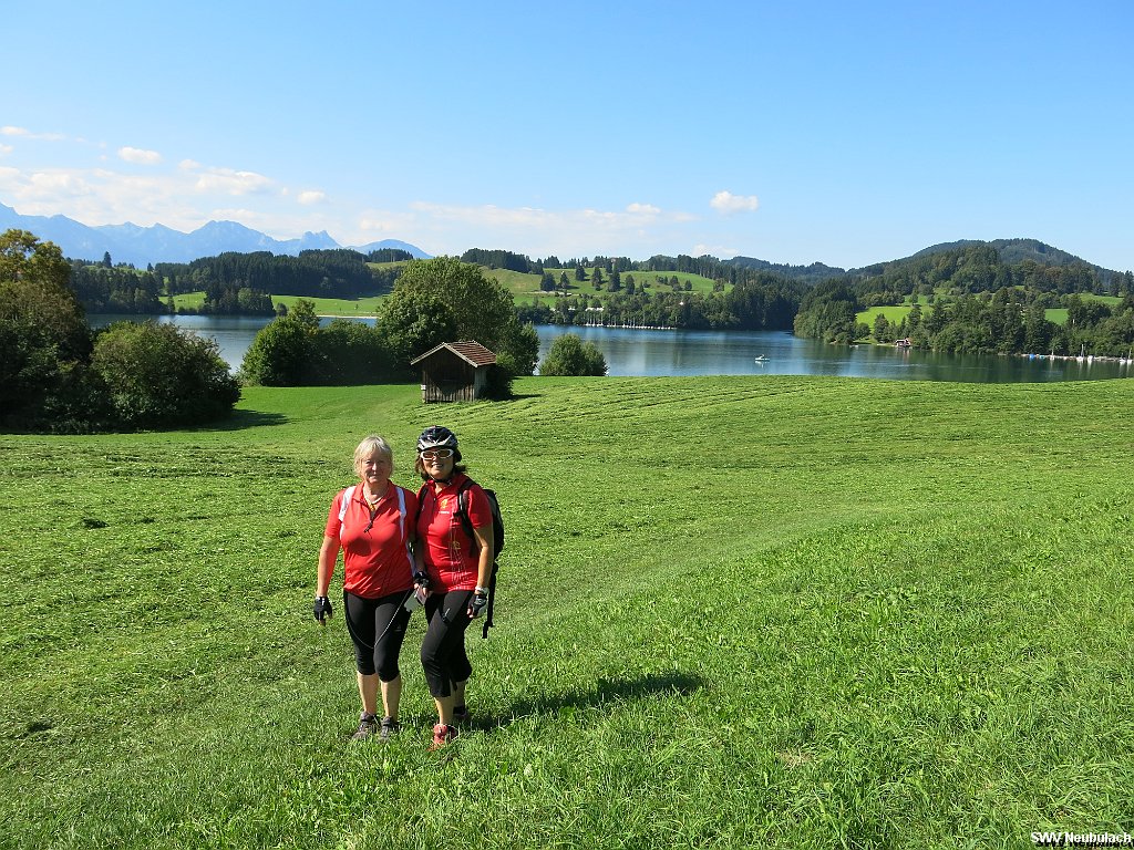 Click here to see the next image in this gallery