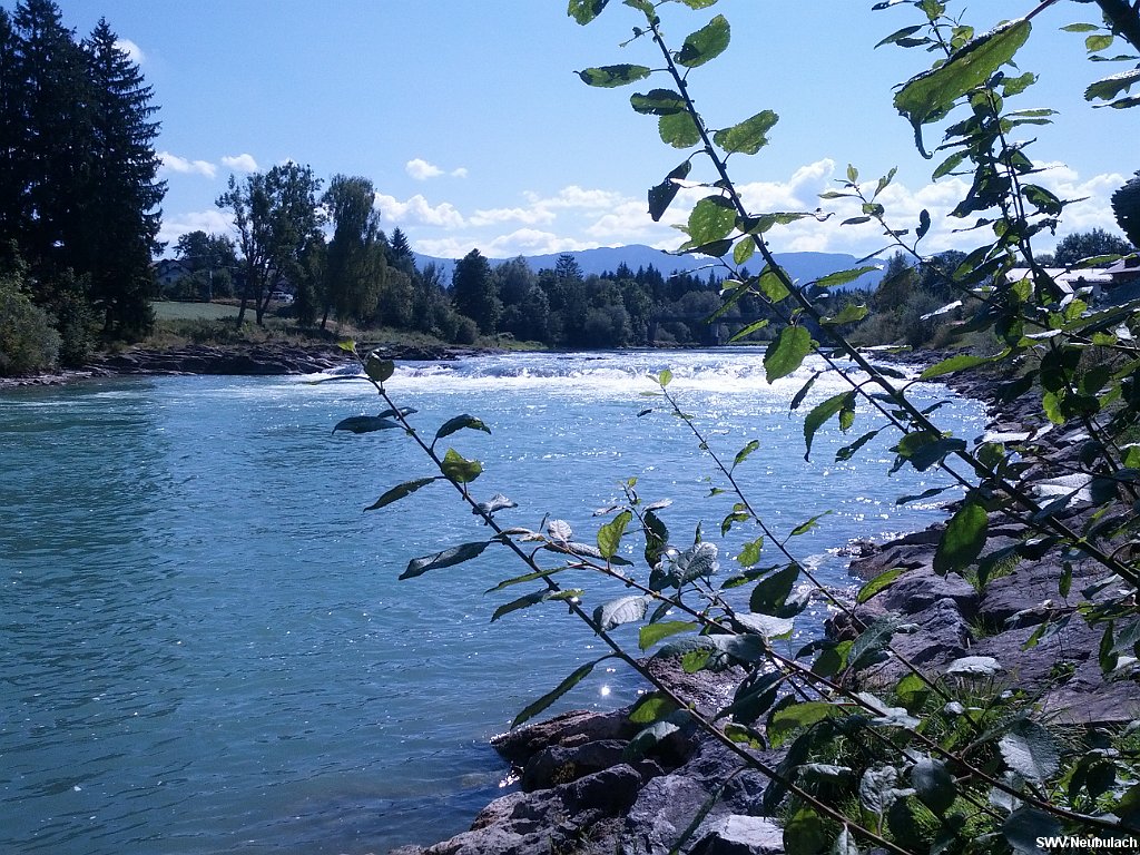 Click here to see the next image in this gallery