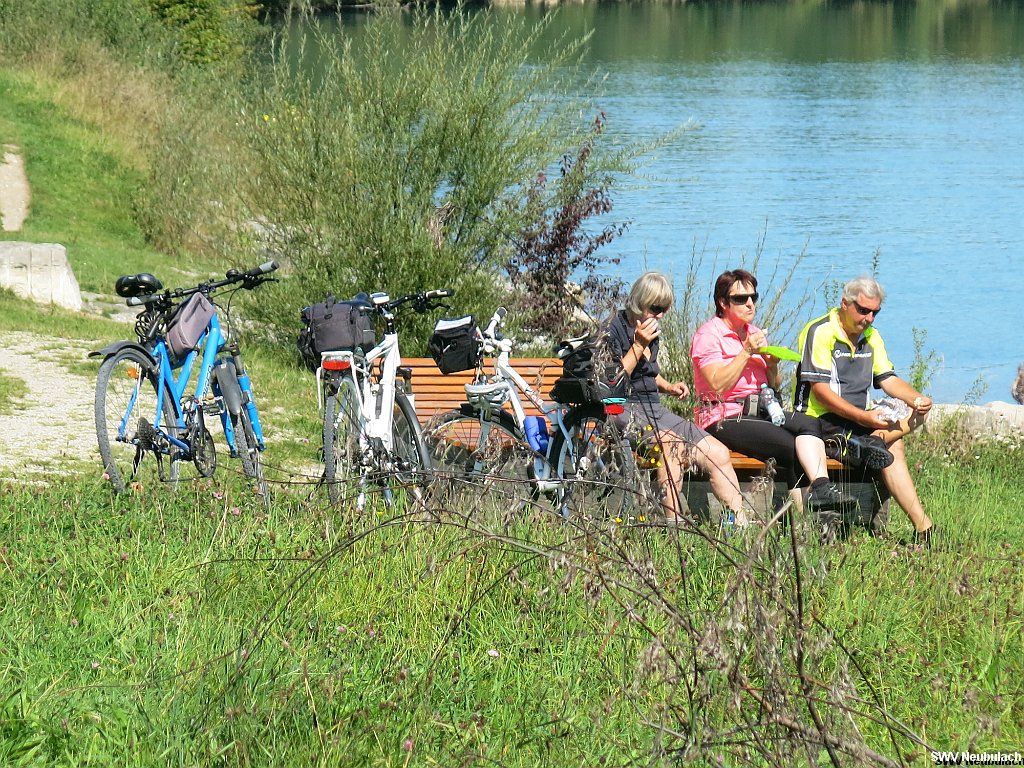 Click here to see the next image in this gallery