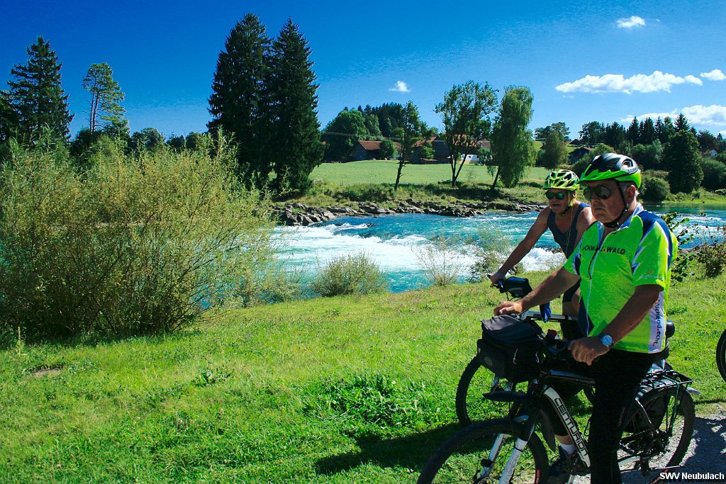 Click here to see the next image in this gallery