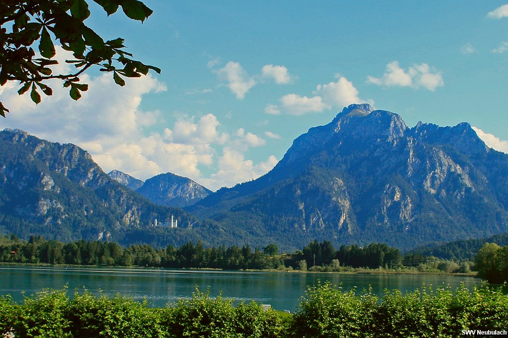 Click here to see the next image in this gallery