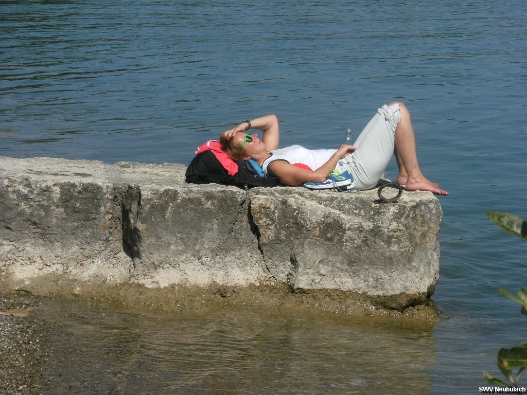 Click here to see the next image in this gallery