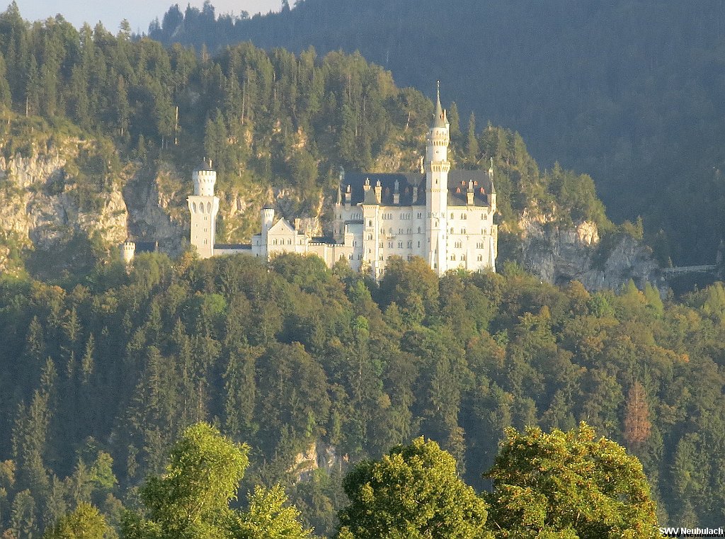 Click here to see the next image in this gallery