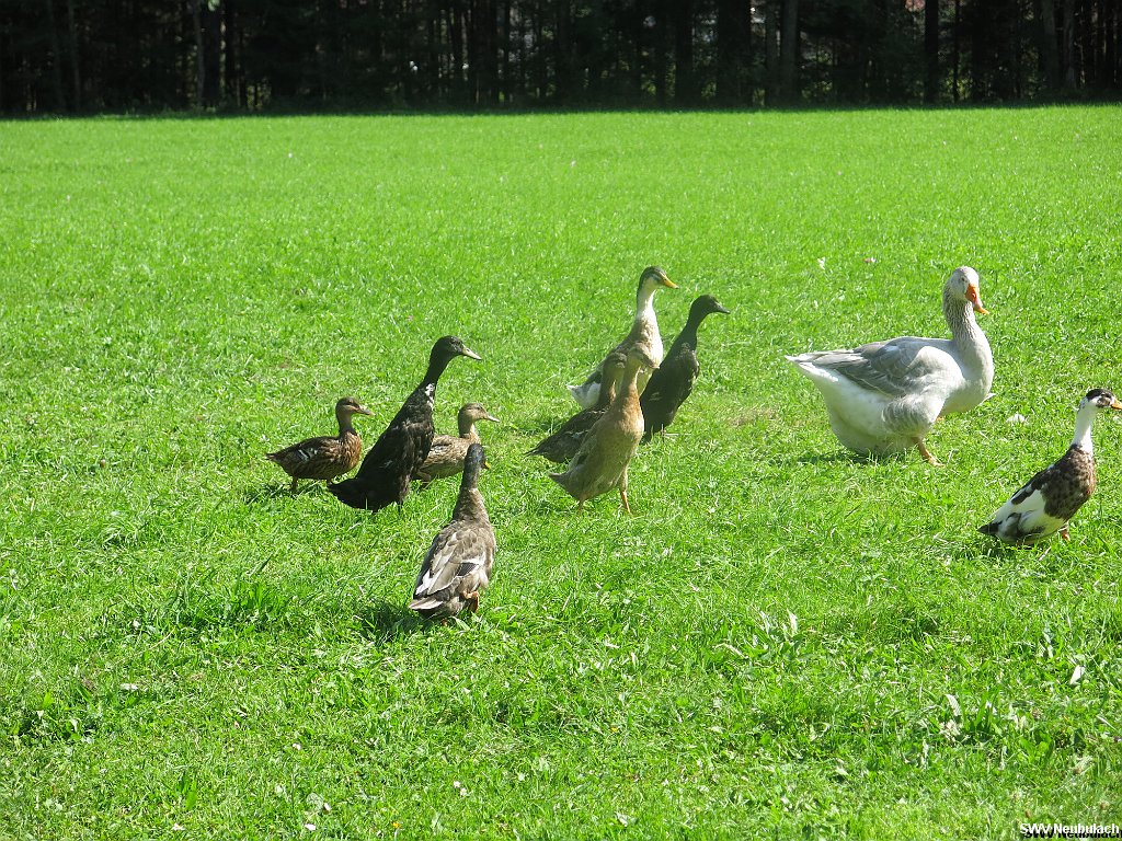 Click here to see the next image in this gallery