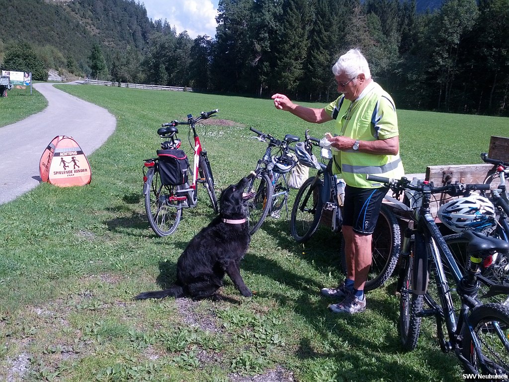 Click here to see the next image in this gallery