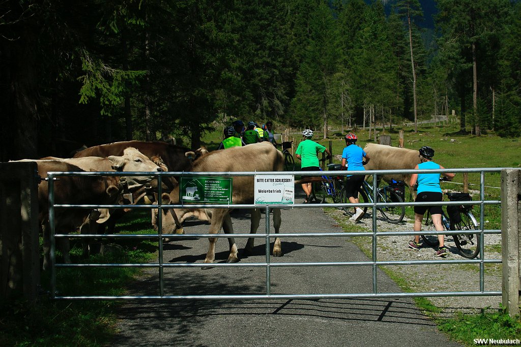 Click here to see the next image in this gallery