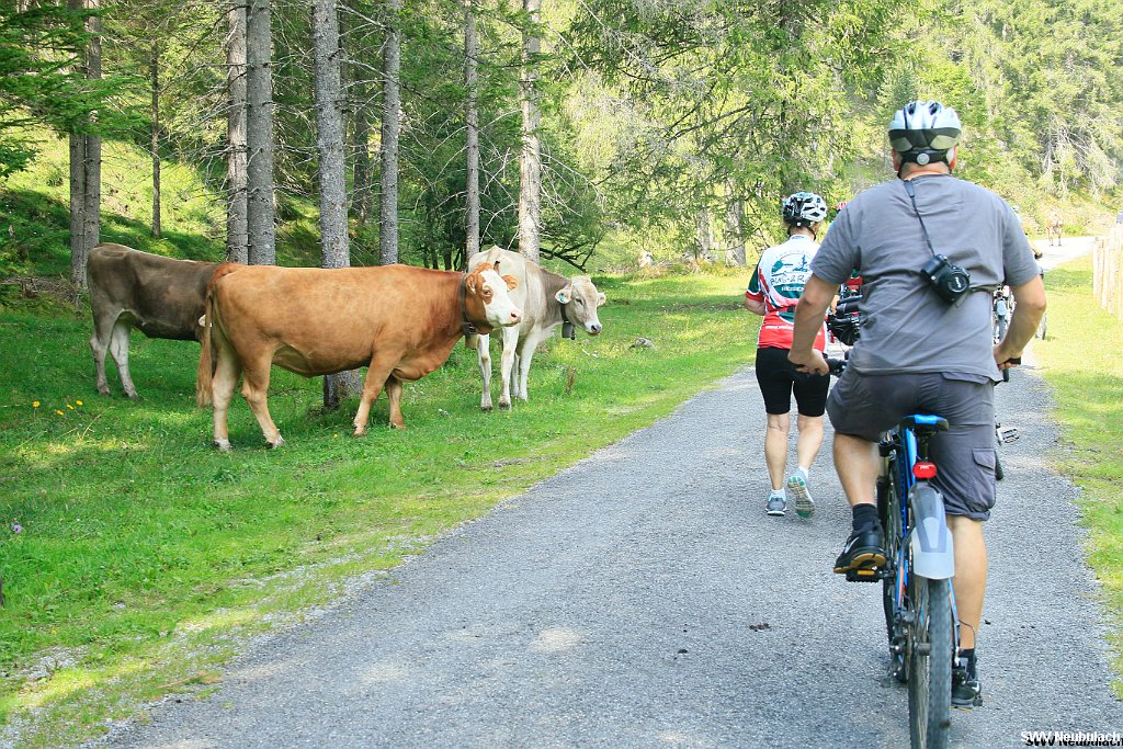 Click here to see the next image in this gallery