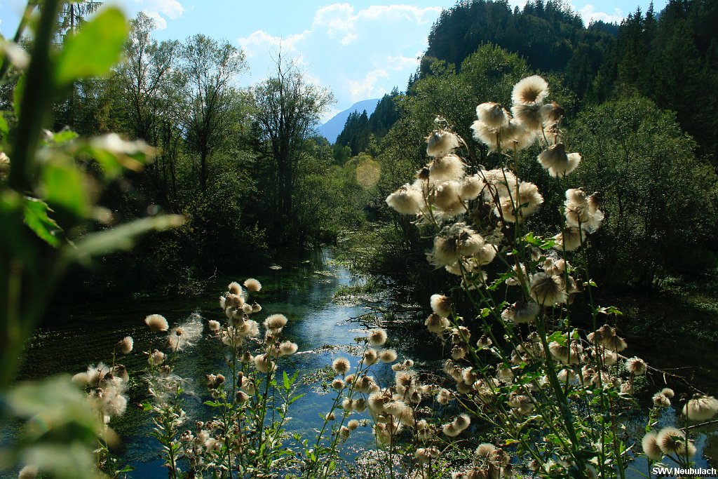 Click here to see the next image in this gallery