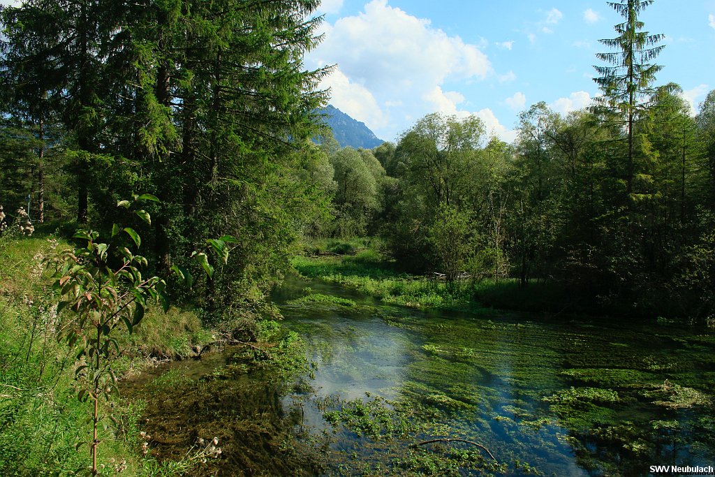 Click here to see the next image in this gallery