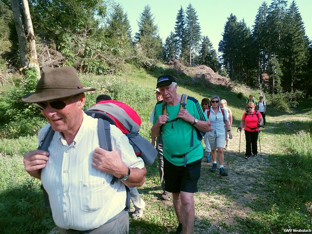 Click here to see the next image in this gallery