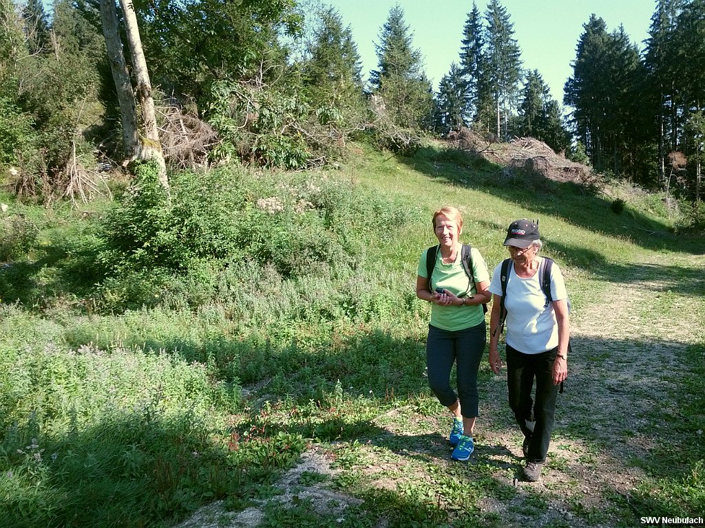 Click here to see the next image in this gallery