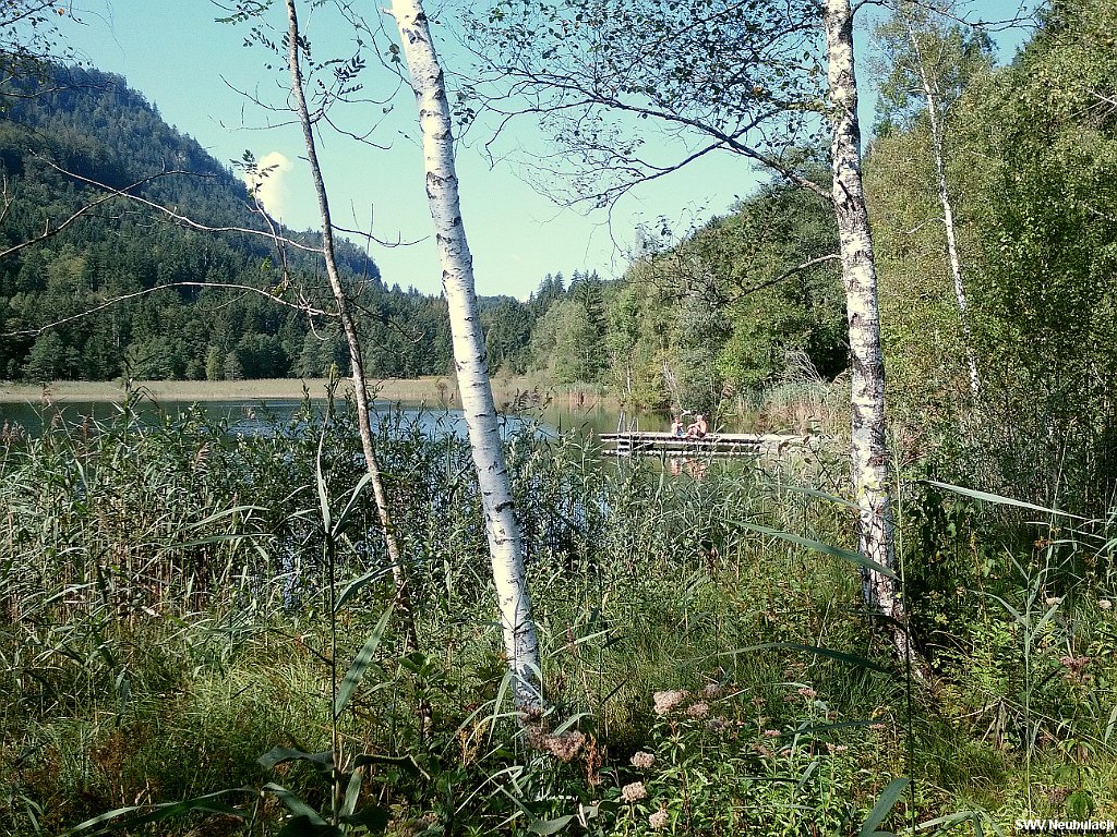 Click here to see the next image in this gallery