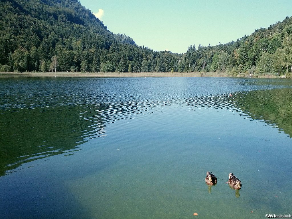 Click here to see the next image in this gallery