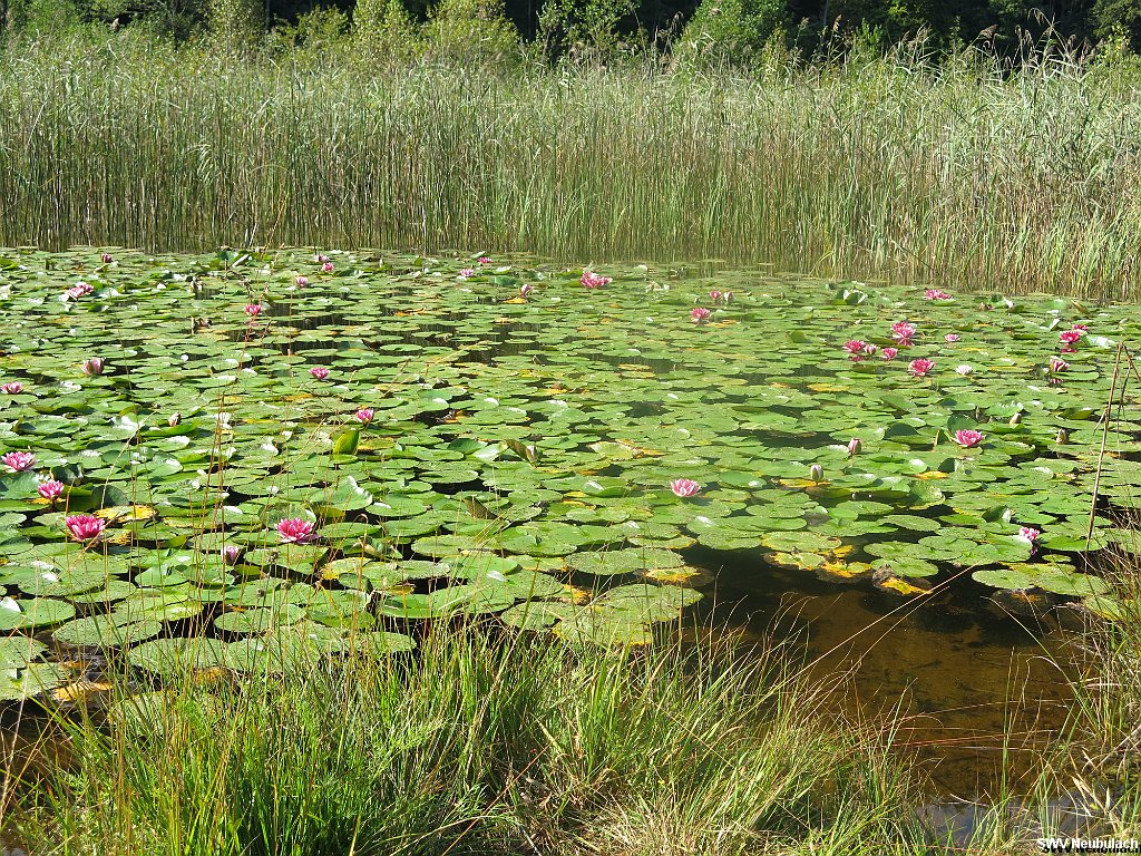 Click here to see the next image in this gallery