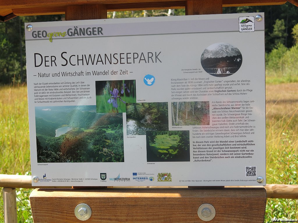 Click here to see the next image in this gallery